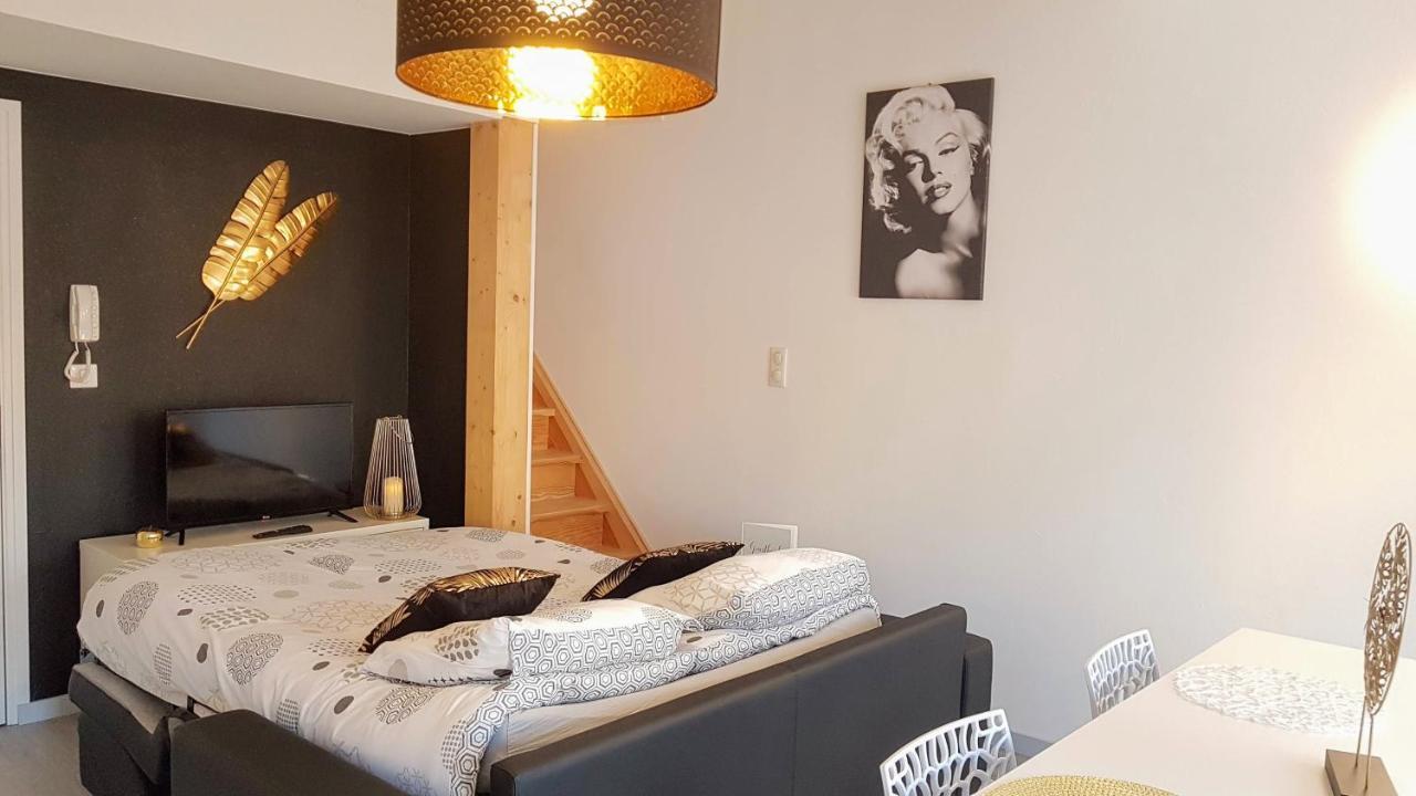 Les Nuits D'Anis - Appartements Hypercentre Le Puy-en-Velay Εξωτερικό φωτογραφία